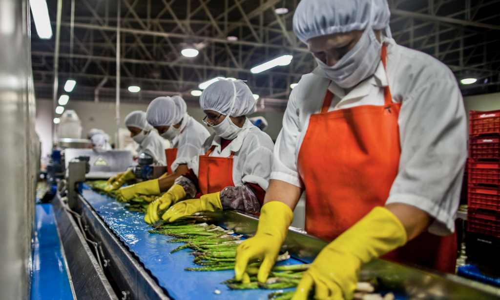 Food Industry Dry Cleaning